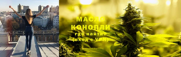 МДПВ Бородино