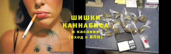 МДПВ Бородино
