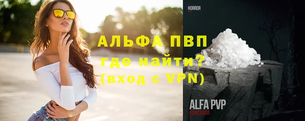 МДПВ Бородино