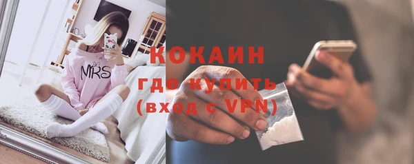 МДПВ Бородино