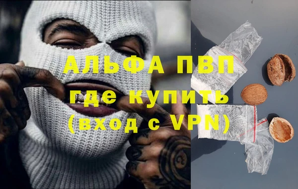МДПВ Бородино