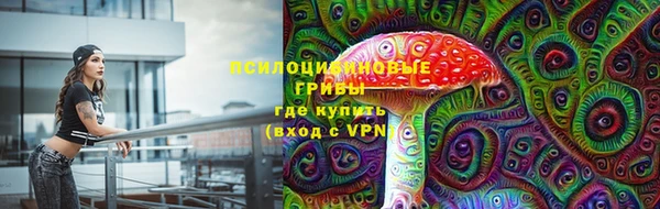 МДПВ Бородино