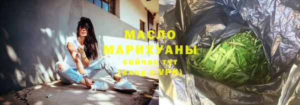 МДПВ Бородино