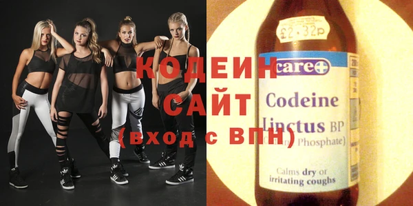 МДПВ Бородино