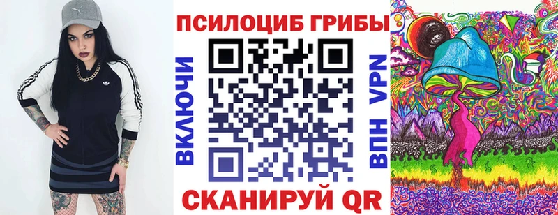 Купить закладки  Вязьма  Галлюциногенные грибы мицелий 
